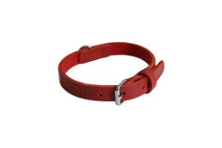 Martin Sellier - Collier Avec Bords Ronds Rouge Pour Chien - 30/55cm