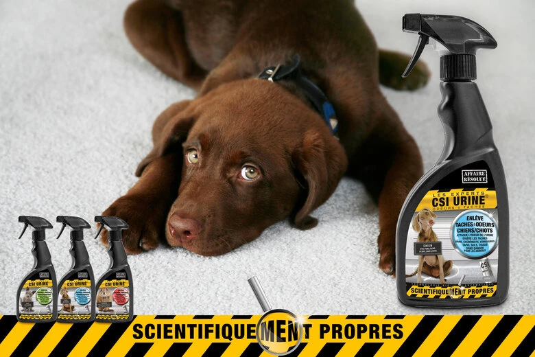 CSI Urine - Nettoyant Enzymatique Pour Chien - 500ml 4 CSI Urine - Nettoyant Enzymatique Pour Chien - 500ml – Image 2