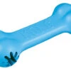 KONG - Jouet Goodie Bone Pour Chien -Magasin De Fournitures Pour Chiens De Compagnie 11276