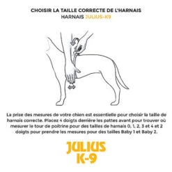 Julius K9 Julius-K9 - Harnais Power S De 58-76cm Pour Chien - Noir -Magasin De Fournitures Pour Chiens De Compagnie 15716