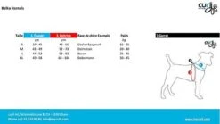 Curli - Harnais Belka Air-Mesh En Noir Pour Chiens - M -Magasin De Fournitures Pour Chiens De Compagnie 17301