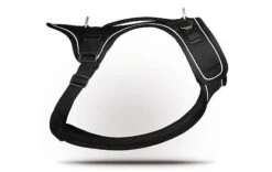 Curli - Harnais Belka Air-Mesh En Noir Pour Chiens - M -Magasin De Fournitures Pour Chiens De Compagnie 17309