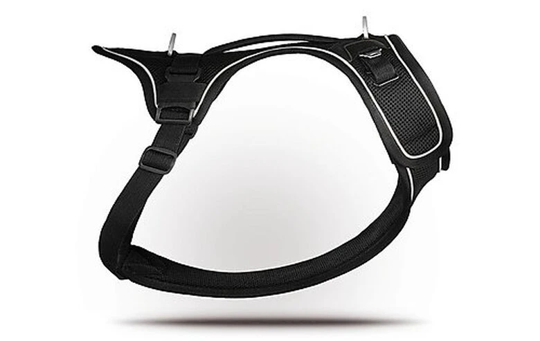 Curli - Harnais Belka Air-Mesh En Noir Pour Chiens - S 5 Curli - Harnais Belka Air-Mesh En Noir Pour Chiens - S – Image 3