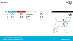 Curli - Harnais Belka Air-Mesh En Noir Pour Chiens - S 11 Curli - Harnais Belka Air-Mesh En Noir Pour Chiens - S -Magasin De Fournitures Pour Chiens De Compagnie 17317