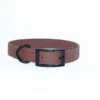 EKys - Collier Biothane 18mm Pour Chien - Marron -Magasin De Fournitures Pour Chiens De Compagnie 21312