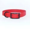 EKys - Collier Biothane 25mm Pour Chien - Rouge 1 EKys - Collier Biothane 25mm Pour Chien - Rouge -Magasin De Fournitures Pour Chiens De Compagnie 21318