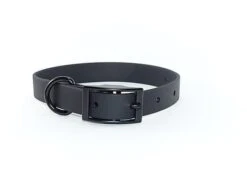 EKys - Collier Biothane 25mm Pour Chien - Noir
