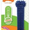 Nylabone - Jouet Os Dental Moderate Chew Pour Chien - M -Magasin De Fournitures Pour Chiens De Compagnie 25815