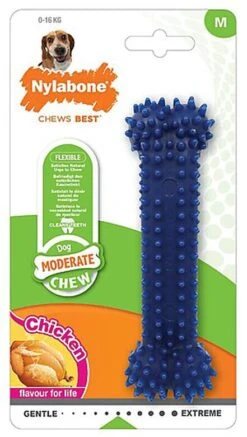 Nylabone - Jouet Os Dental Moderate Chew Pour Chien - M