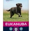 Eukanuba - Croquettes Au Poulet Pour Chien Adulte De Grande Taille - 15Kg -Magasin De Fournitures Pour Chiens De Compagnie 26169