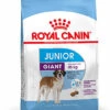 Royal Canin - Croquettes Giant Junior Pour Chiot - 15Kg -Magasin De Fournitures Pour Chiens De Compagnie 26290