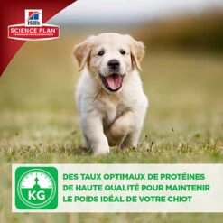 Hill's Science Plan - Croquettes Healthy Development Medium Puppy Poulet Pour Chiot - 12Kg -Magasin De Fournitures Pour Chiens De Compagnie 27883