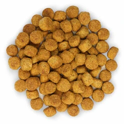 Hill's Science Plan - Croquettes Light Medium Adult Poulet Pour Chien - 12Kg -Magasin De Fournitures Pour Chiens De Compagnie 27919