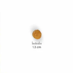 Hill's Science Plan - Croquettes Light Medium Adult Poulet Pour Chien - 12Kg -Magasin De Fournitures Pour Chiens De Compagnie 27920
