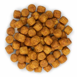 Hill's Science Plan - Croquettes Healthy Mobility Medium Adult Poulet Pour Chien - 12Kg -Magasin De Fournitures Pour Chiens De Compagnie 27928