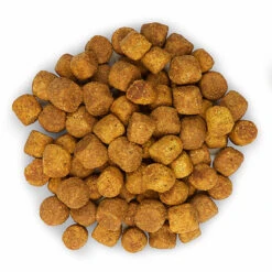 Hill's Science Plan - Croquettes Active Longevity Medium Mature 7+ Poulet Pour Chien - 12Kg 11 Hill's Science Plan - Croquettes Active Longevity Medium Mature 7+ Poulet Pour Chien - 12Kg -Magasin De Fournitures Pour Chiens De Compagnie 27949