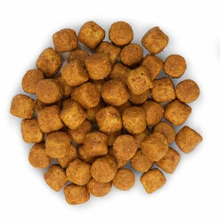Hill's Science Plan - Croquettes Advanced Fitness Large Adult Poulet Pour Chien - 18Kg -Magasin De Fournitures Pour Chiens De Compagnie 28004