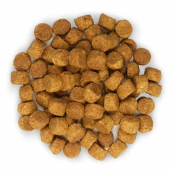 Hill's Science Plan - Croquettes Large Breed Au Poulet Pour Chiot - 16Kg -Magasin De Fournitures Pour Chiens De Compagnie 28023