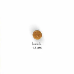Hill's Science Plan - Croquettes Large Breed Au Poulet Pour Chiot - 16Kg -Magasin De Fournitures Pour Chiens De Compagnie 28024