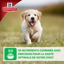 Hill's Science Plan - Croquettes Large Breed Au Poulet Pour Chiot - 16Kg -Magasin De Fournitures Pour Chiens De Compagnie 28026