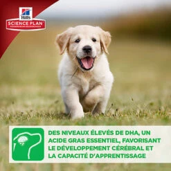 Hill's Science Plan - Croquettes Large Breed Au Poulet Pour Chiot - 16Kg -Magasin De Fournitures Pour Chiens De Compagnie 28028