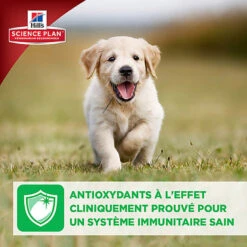 Hill's Science Plan - Croquettes Large Breed Au Poulet Pour Chiot - 16Kg -Magasin De Fournitures Pour Chiens De Compagnie 28029