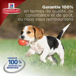 Hill's Science Plan - Croquettes Large Breed Au Poulet Pour Chiot - 16Kg -Magasin De Fournitures Pour Chiens De Compagnie 28030