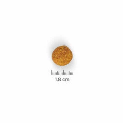 Hill's Science Plan - Croquettes Perfect Weight Large Adult Poulet Pour Chien - 12Kg -Magasin De Fournitures Pour Chiens De Compagnie 28075