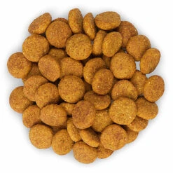 Hill's Science Plan - Croquettes Perfect Weight Large Adult Poulet Pour Chien - 12Kg -Magasin De Fournitures Pour Chiens De Compagnie 28076