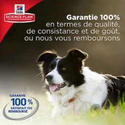 Hill's Science Plan - Croquettes Light Au Poulet Pour Chien Sénior De Petite Race - 2,5Kg 11 Hill's Science Plan - Croquettes Light Au Poulet Pour Chien Sénior De Petite Race - 2,5Kg -Magasin De Fournitures Pour Chiens De Compagnie 28537