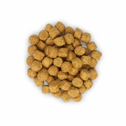 Hill's Science Plan - Croquettes Light Au Poulet Pour Chien Sénior De Petite Race - 2,5Kg 9 Hill's Science Plan - Croquettes Light Au Poulet Pour Chien Sénior De Petite Race - 2,5Kg -Magasin De Fournitures Pour Chiens De Compagnie 28539