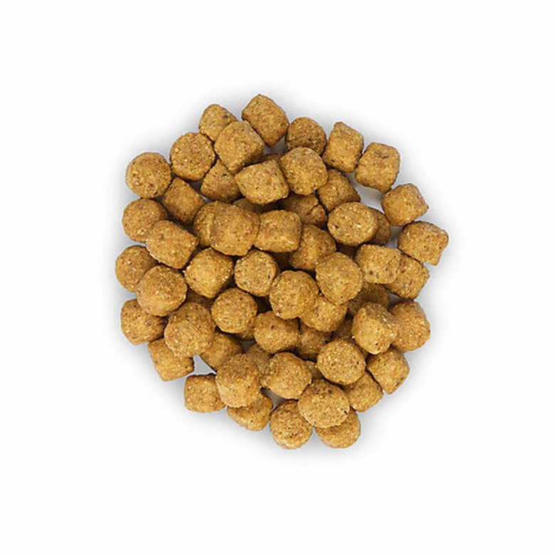 Hill's Science Plan - Croquettes Light Au Poulet Pour Chien Sénior De Petite Race - 2,5Kg 5 Hill's Science Plan - Croquettes Light Au Poulet Pour Chien Sénior De Petite Race - 2,5Kg – Image 3
