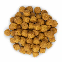 Hill's Science Plan - Croquettes à L'Agneau Et Riz Pour Chien - 12Kg 10 Hill's Science Plan - Croquettes à L'Agneau Et Riz Pour Chien - 12Kg -Magasin De Fournitures Pour Chiens De Compagnie 28559