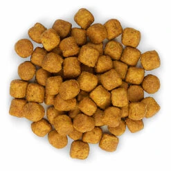 Hill's Science Plan - Croquettes à L'Agneau Et Riz Pour Chien De Grande Race - 12Kg 11 Hill's Science Plan - Croquettes à L'Agneau Et Riz Pour Chien De Grande Race - 12Kg -Magasin De Fournitures Pour Chiens De Compagnie 28564