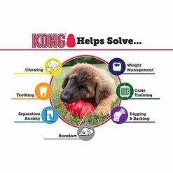 KONG - Jouet Puppy Pour Chiot -Magasin De Fournitures Pour Chiens De Compagnie 28993