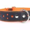 Yogipet - Collier Large Réfléchissant Cuir Pour Chien - Orange -Magasin De Fournitures Pour Chiens De Compagnie 29085