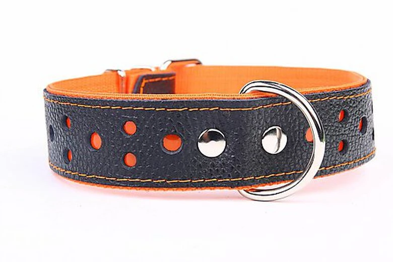 Yogipet - Collier Large Réfléchissant Cuir Pour Chien - Orange 3 Yogipet - Collier Large Réfléchissant Cuir Pour Chien - Orange
