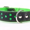 Yogipet - Collier Large Réfléchissant Cuir Pour Chien - Vert -Magasin De Fournitures Pour Chiens De Compagnie 29086