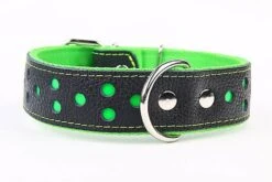 Yogipet - Collier Large Réfléchissant Cuir Pour Chien - Vert