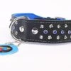 Yogipet - Collier Cuir Crystal Clouté Pour Chien - Bleu -Magasin De Fournitures Pour Chiens De Compagnie 29089