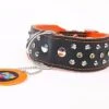 Yogipet - Collier Cuir Crystal Clouté Pour Chien - Orange -Magasin De Fournitures Pour Chiens De Compagnie 29092