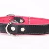 Yogipet - Collier En Cuir Pour Chien - Rose -Magasin De Fournitures Pour Chiens De Compagnie 29100