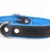 Yogipet - Collier En Cuir Pour Chien - Bleu 2 Yogipet - Collier En Cuir Pour Chien - Bleu -Magasin De Fournitures Pour Chiens De Compagnie 29103