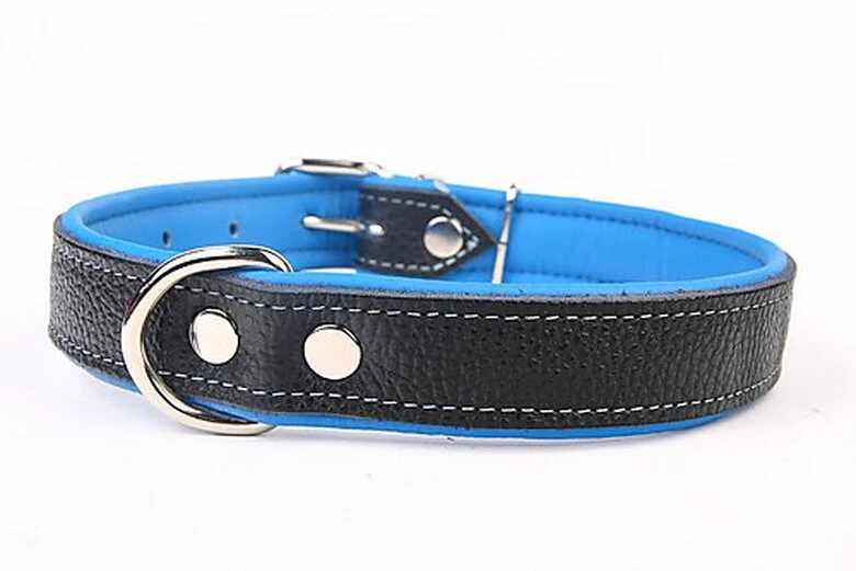 Yogipet - Collier En Cuir Pour Chien - Bleu 3 Yogipet - Collier En Cuir Pour Chien - Bleu