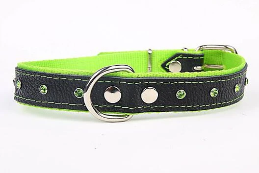 Yogipet - Collier Cuir Nylon Crystal Pour Chien - Vert 3 Yogipet - Collier Cuir Nylon Crystal Pour Chien - Vert
