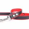Yogipet - Laisse En Cuir Avec Nylon 120cm Pour Chien - Rouge 1 Yogipet - Laisse En Cuir Avec Nylon 120cm Pour Chien - Rouge -Magasin De Fournitures Pour Chiens De Compagnie 29149