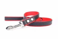 Yogipet - Laisse En Cuir Avec Nylon 120cm Pour Chien - Rouge