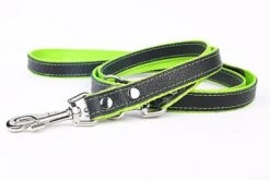 Yogipet - Laisse Réglable Cuir Nylon 220cm Pour Chien - Vert