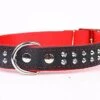 Yogipet - Collier Cuir Nylon Studs Pour Chien - Rouge 2 Yogipet - Collier Cuir Nylon Studs Pour Chien - Rouge -Magasin De Fournitures Pour Chiens De Compagnie 29161