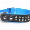 Yogipet - Collier Cuir Nylon Studs Pour Chien - Bleu -Magasin De Fournitures Pour Chiens De Compagnie 29162